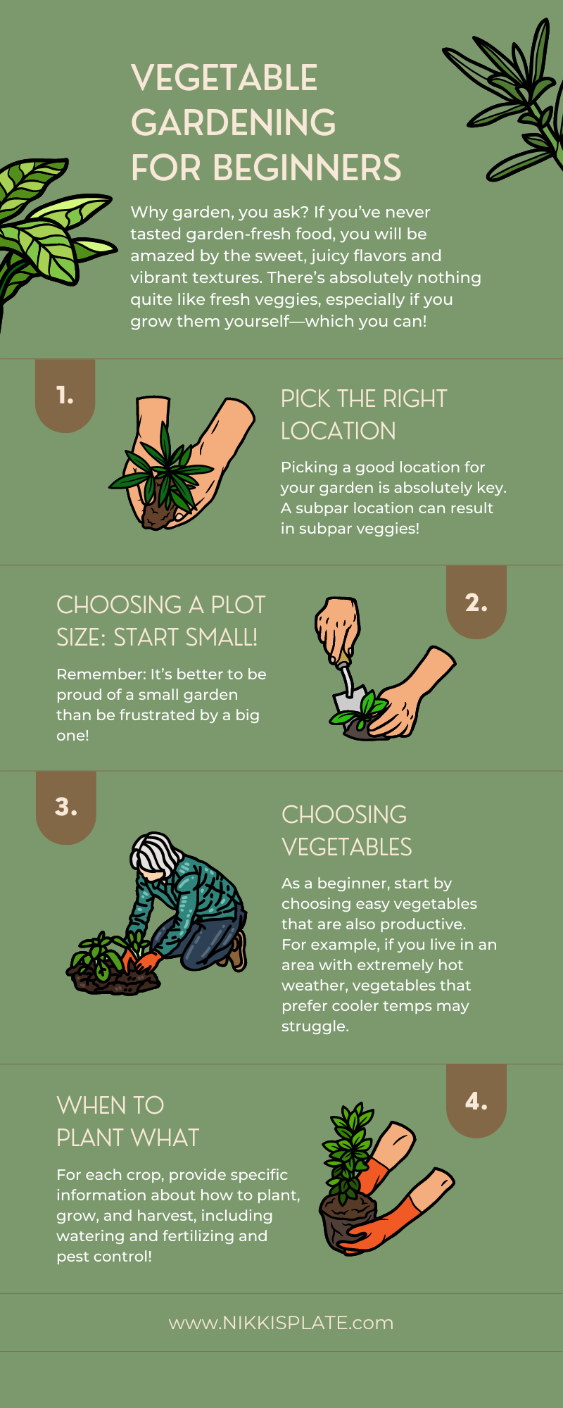 6 vegetable gardening tips every new food gardener needs to know