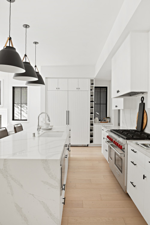 40 White Cabinets with Black Hardware Kitchen Ideas - NP