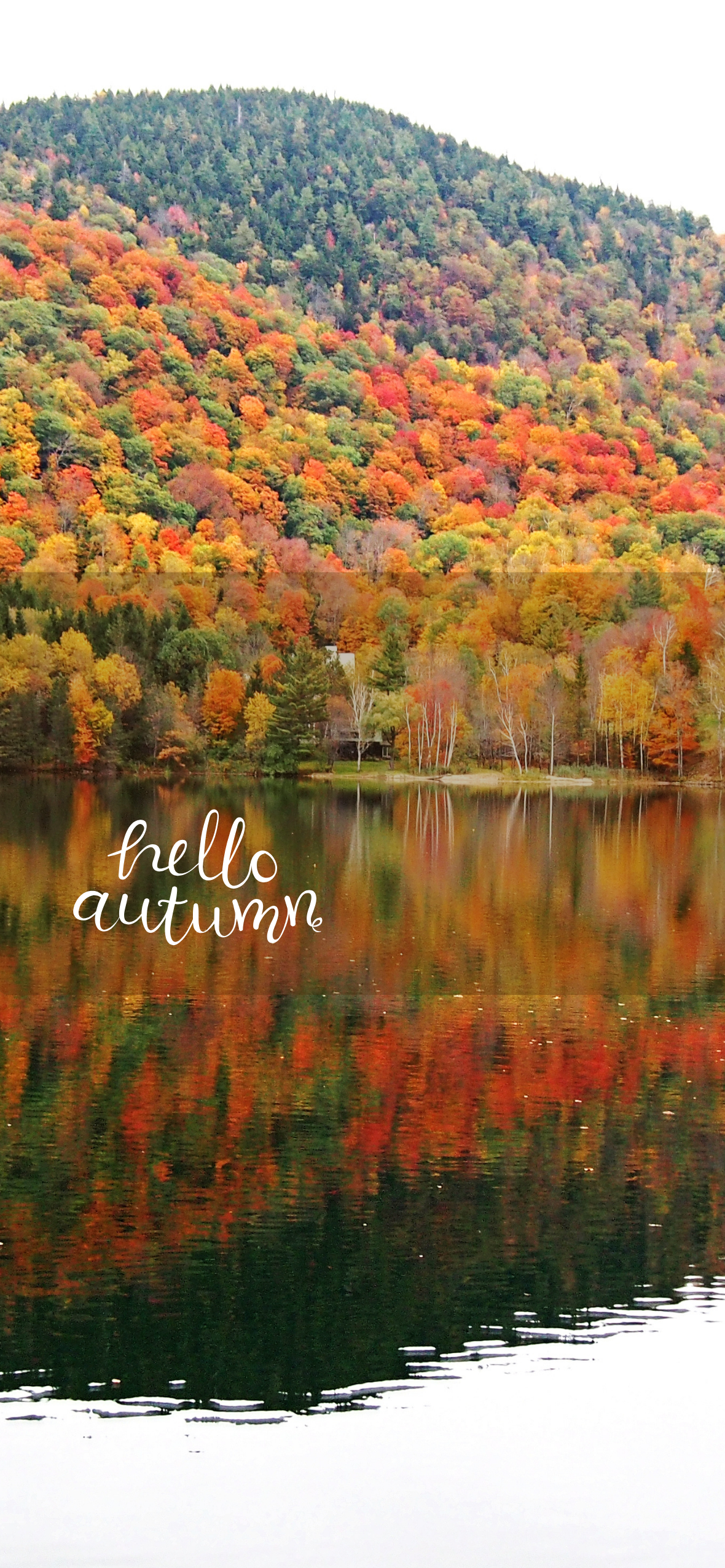 Download Hello Fall Aesthetic Wallpaper