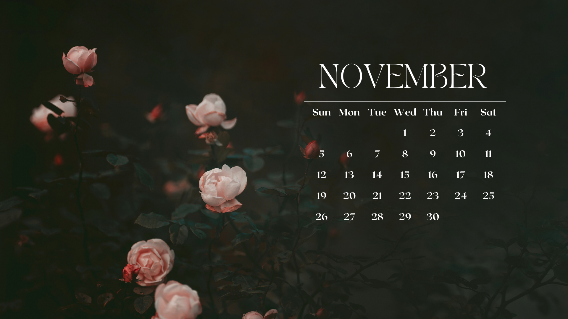 Free, Downloadable Tech Backgrounds for November 2021!