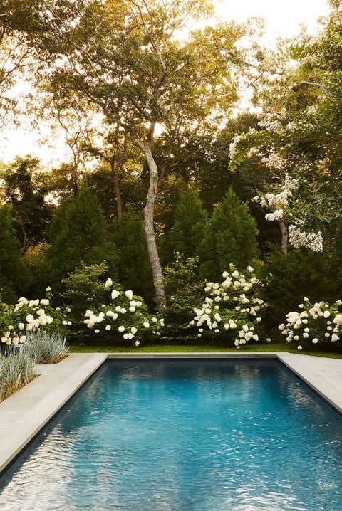 Dive into my top 15 pool landscaping ideas to elevate your backyard into a sublime oasis. Splash into inspiration for a lush, inviting retreat right at home! 