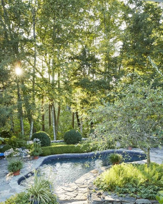 Dive into my top 15 pool landscaping ideas to elevate your backyard into a sublime oasis. Splash into inspiration for a lush, inviting retreat right at home!