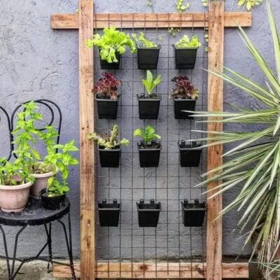 10 Creative Small Garden DIY Ideas For Tiny Spaces; Discover 10 inventive small garden DIY ideas to maximize your outdoor space. Learn how to create vertical gardens, utilize multipurpose furniture, and other clever tips for crafting your own little paradise.