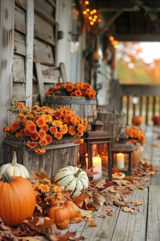 Embrace the cozy vibes of fall in your home decor with my top 10 tips! From lush throws to seasonal colors, discover simple, enchanting ways to infuse autumn warmth into your home. Perfect for anyone looking to spruce up their space with that unmistakable fall feel. 🍂✨