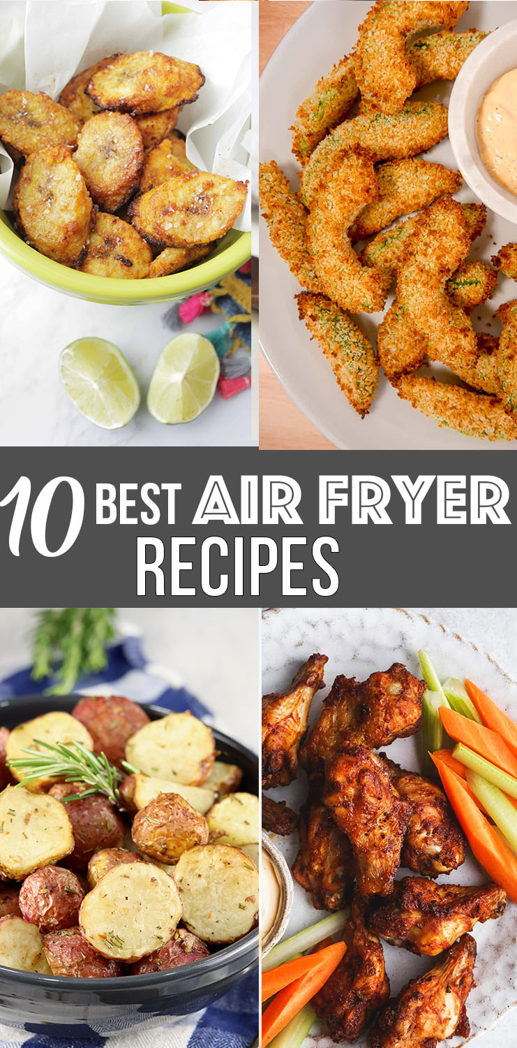 10 Easy Air Fryer Recipes Round Up - Nikki's Plate Blog