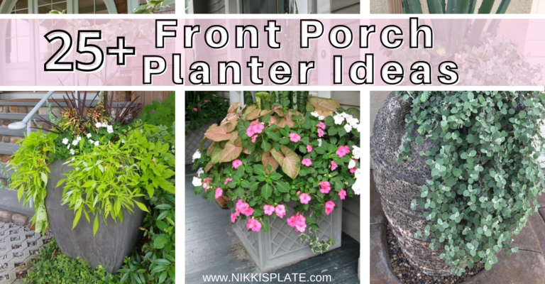25 Beautiful Planters for Front Porch - Nikki's Plate