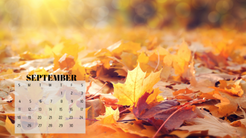 Free September 2022 Desktop Calendar Backgrounds - NP