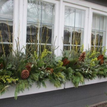 40 Christmas Window Boxes Ideas - Nikki's Plate