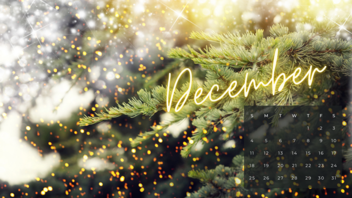 20 FREE DECEMBER 2022 DESKTOP CALENDAR BACKGROUNDS - NP