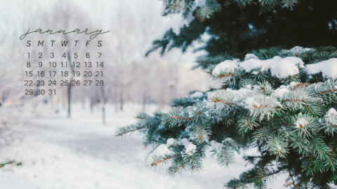 FREE JANUARY 2023 Desktop Calendar Backgrounds (EASY DOWNLOAD)