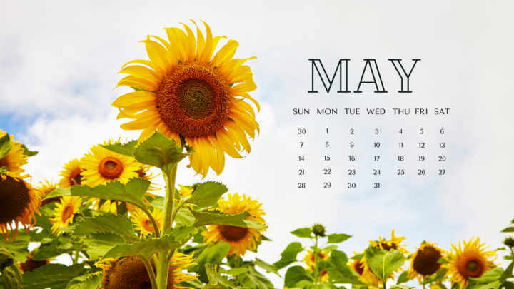 FREE MAY 2023 DESKTOP CALENDAR BACKGROUNDS (EASY DOWNLOAD)