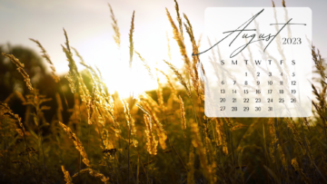 Free August 2023 Desktop Calendar Backgrounds (easy Download)