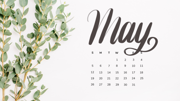 20 FREE MAY 2024 DESKTOP CALENDAR BACKGROUNDS (EASY DOWNLOAD)