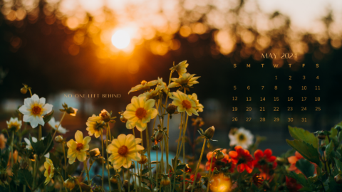 20 FREE MAY 2024 DESKTOP CALENDAR BACKGROUNDS (EASY DOWNLOAD)