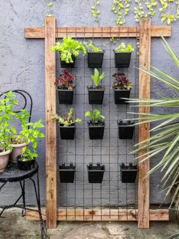 10 Creative Small Garden DIY Ideas For Tiny Spaces; Discover 10 inventive small garden DIY ideas to maximize your outdoor space. Learn how to create vertical gardens, utilize multipurpose furniture, and other clever tips for crafting your own little paradise.