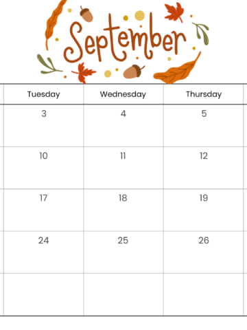 Looking for a free printable SEPTEMBER 2024 calendar? Stay organized and plan your month with ease using my downloadable month SEPTEMBER cute calendars. Sunday start blank SEPTEMBER calendars! Use as work or school calendars.